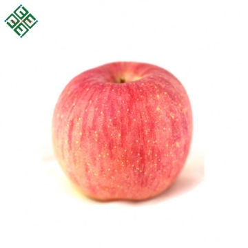 China Shandong frischer Apfel Fuji köstliche Granny Smith Äpfel